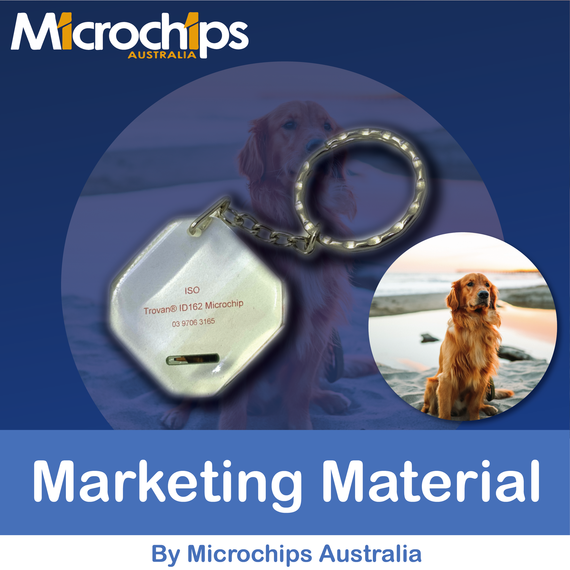 Microchip Marketing Material - Microchips Australia