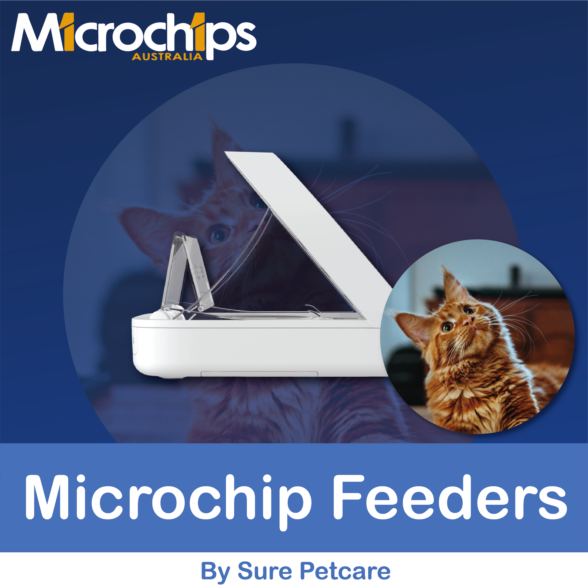 Surefeed Microchips Pet Feeder - Microchips Australia