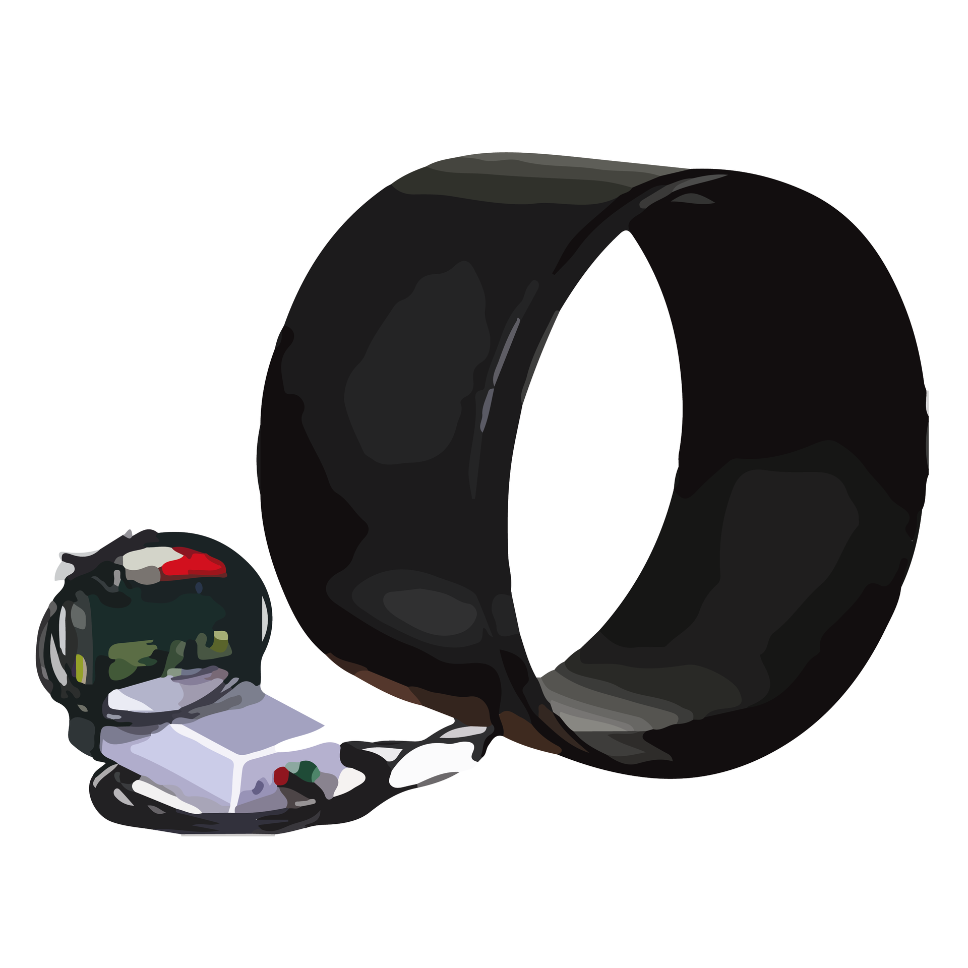Remote Monitoring Systems (Wildlife)