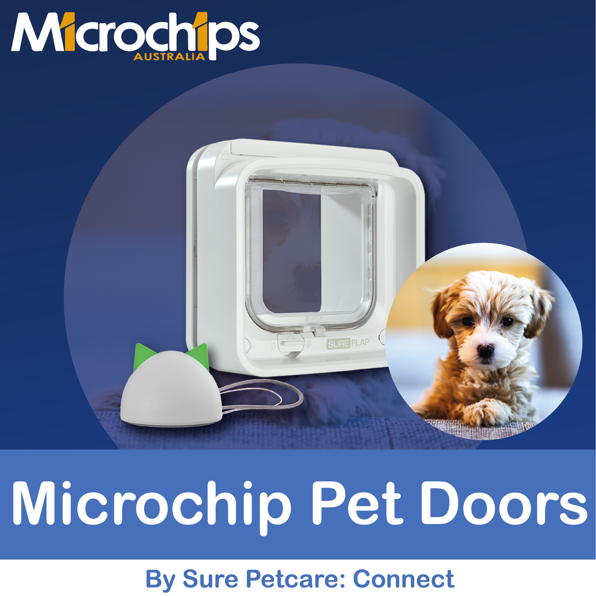 Microchip Reader Pet Door With Camera photo