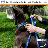 Piper the Platypus Dog Leash by Anipal - Microchips Australia